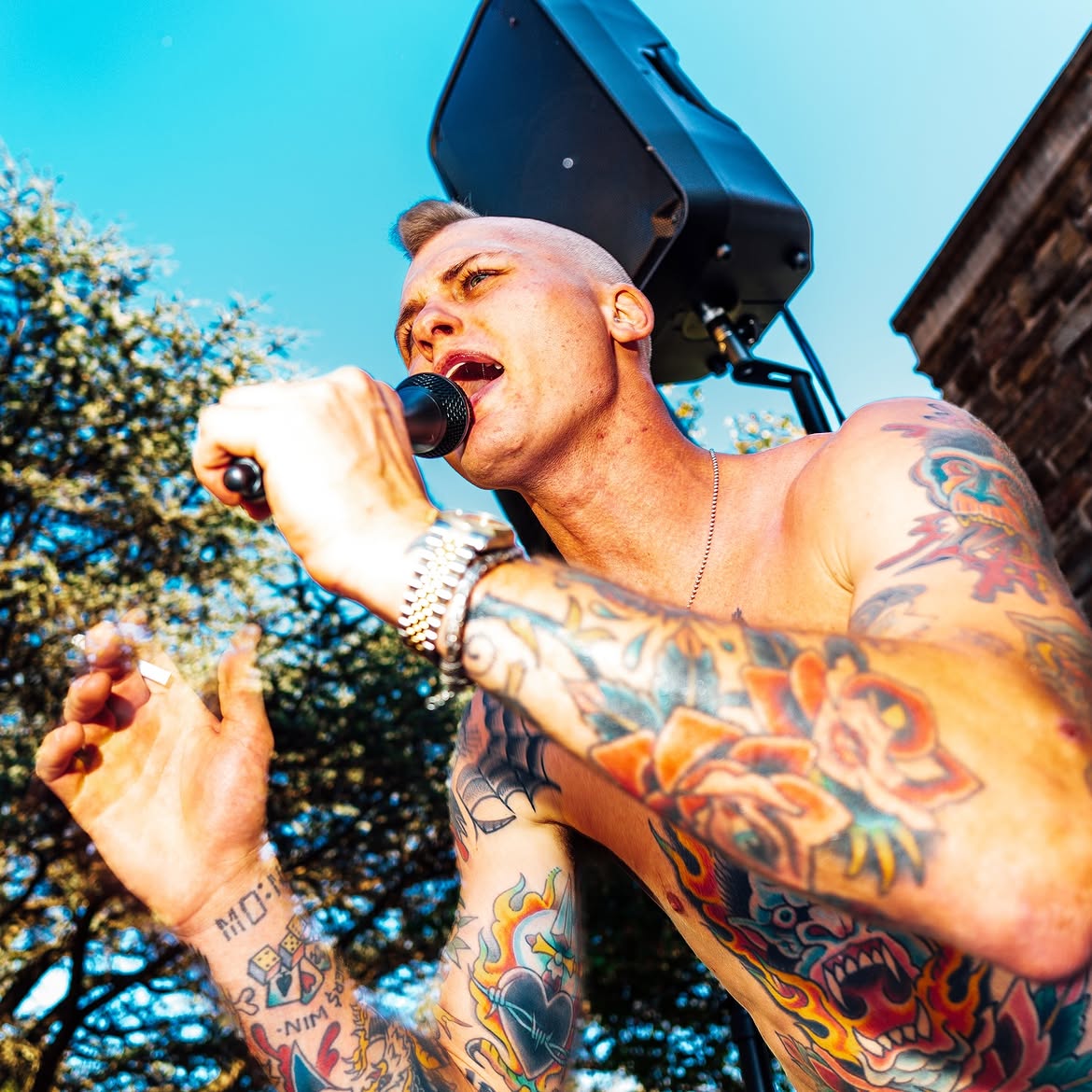 snallyfest concert performance