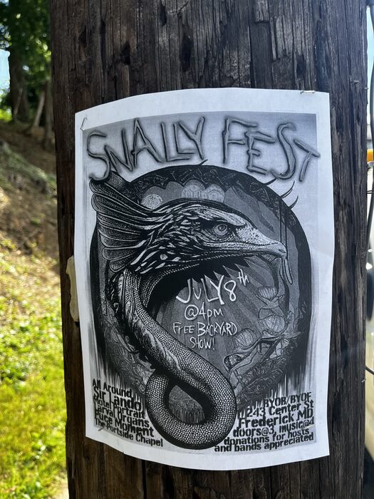 snallyfest concert performance