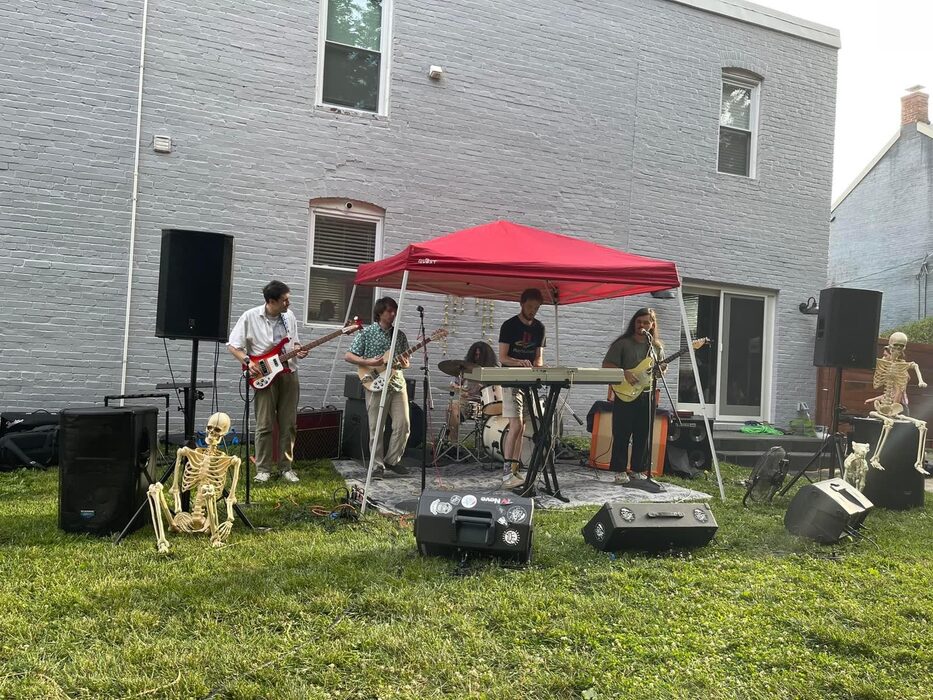 snallyfest concert performance