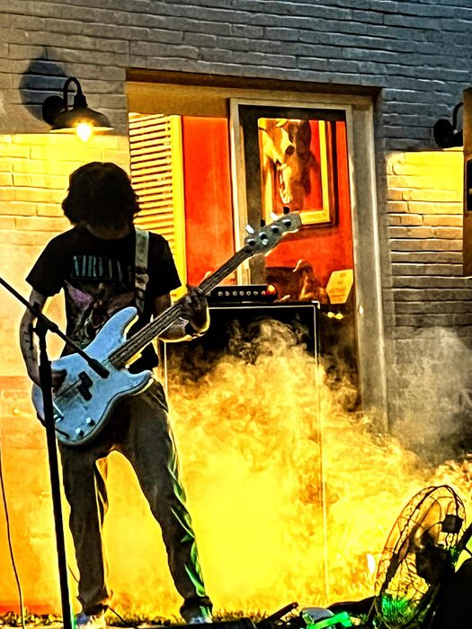 snallyfest concert performance