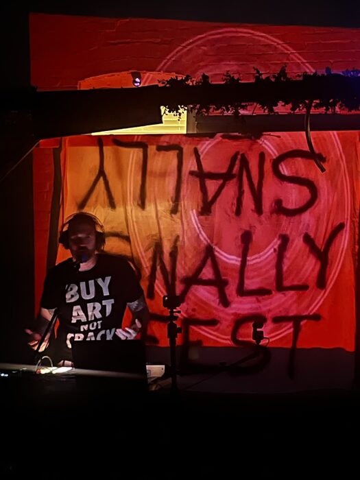 snallyfest concert performance