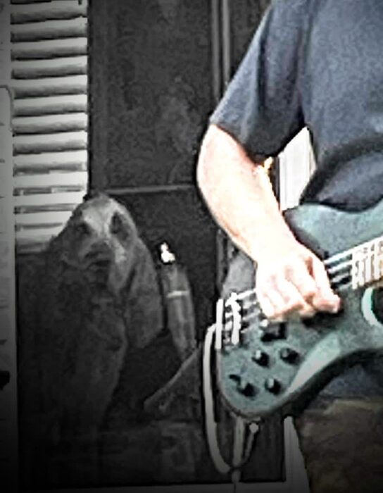 snallyfest concert performance