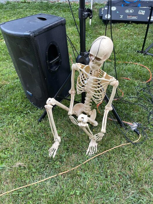 snallyfest concert performance